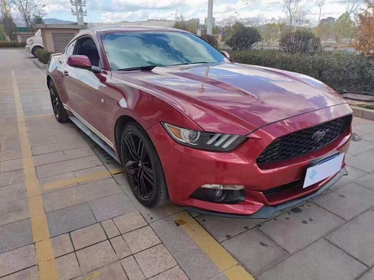 2014年12月福特 Mustang  2015款 2.3T 50周年紀念版