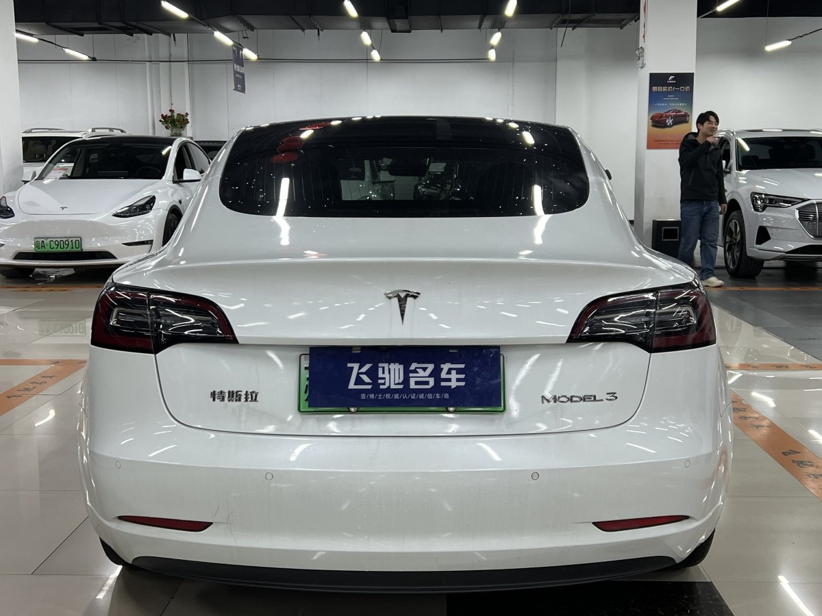 特斯拉 Model 3  2019款 標(biāo)準(zhǔn)續(xù)航后驅(qū)升級版圖片