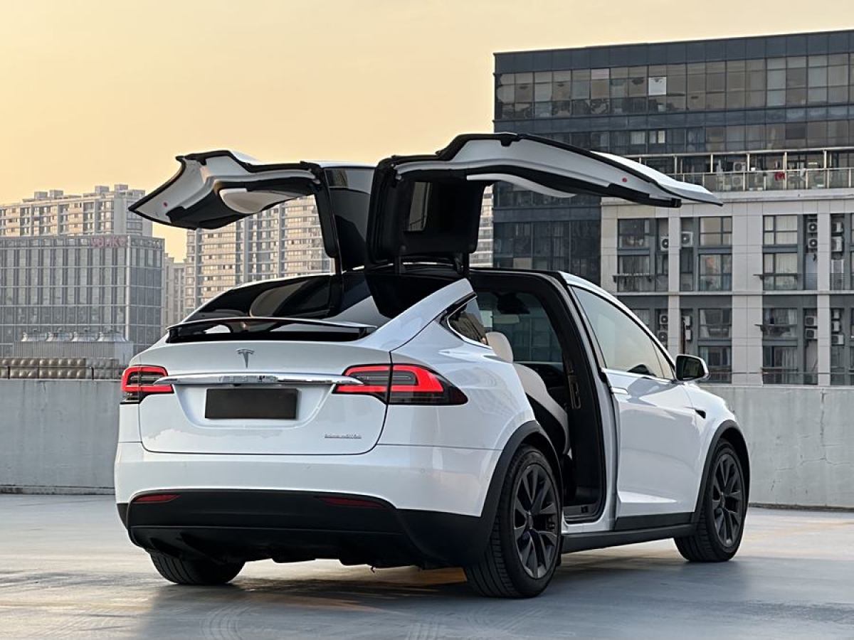 特斯拉 Model X  2019款 Performance 高性能版圖片