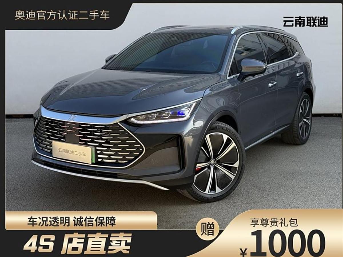 2023年2月比亞迪 唐新能源  2022款 DM-p 215KM 四驅(qū)尊貴型