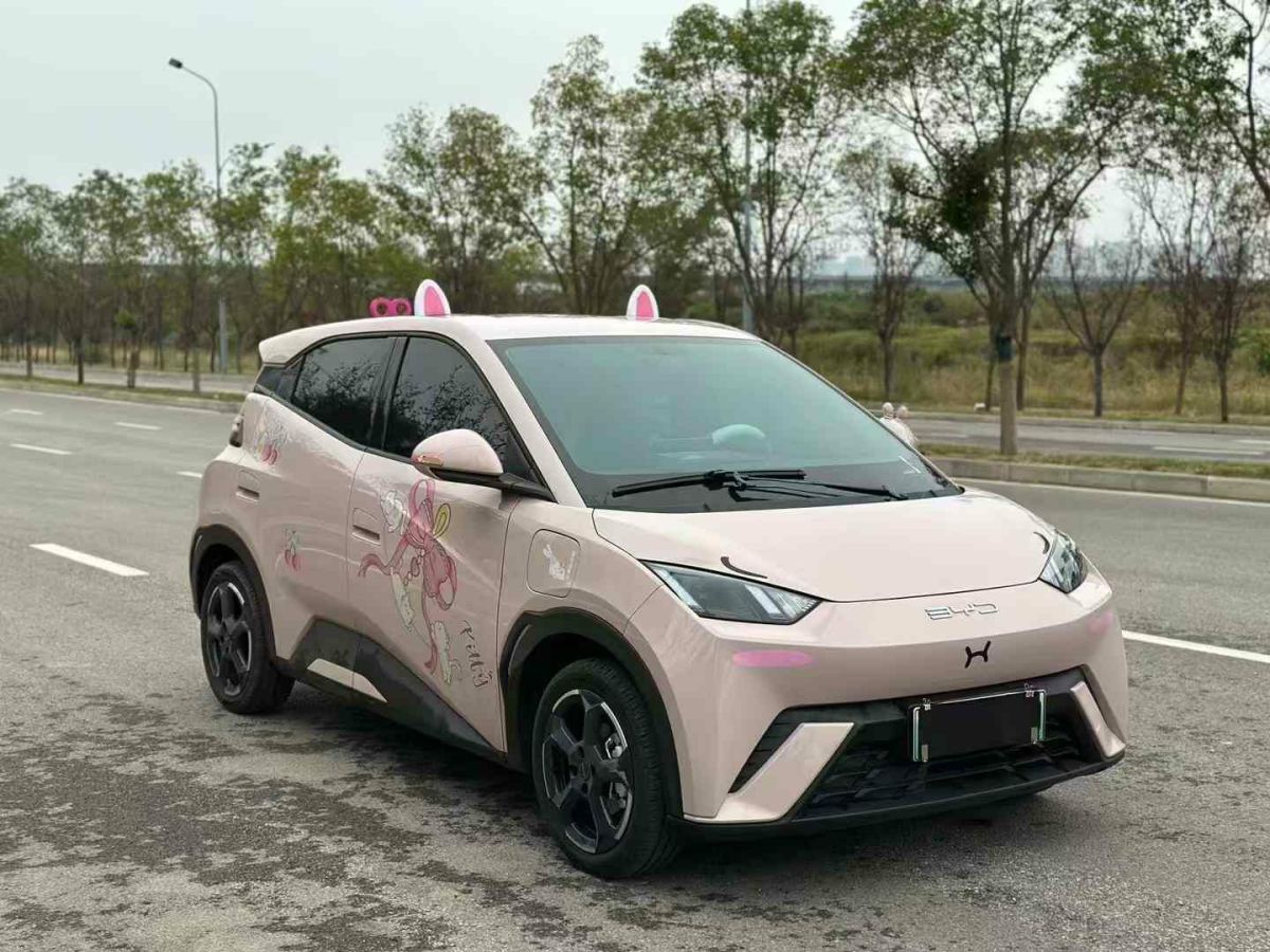 比亞迪 宋L  2024款 550km 卓越型圖片