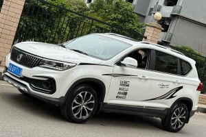 景逸 東風(fēng)風(fēng)行 X5 1.6L 手動豪華型