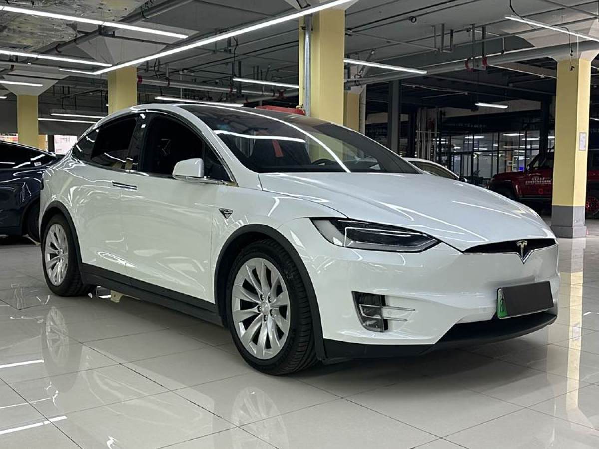 2019年7月特斯拉 Model X  2019款 長(zhǎng)續(xù)航版