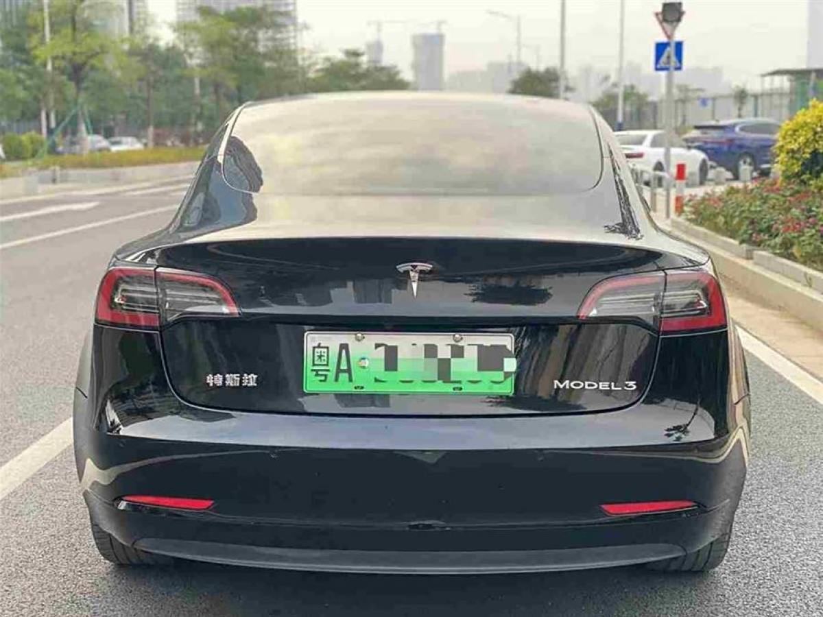 特斯拉 Model 3  2021款 標(biāo)準(zhǔn)續(xù)航后驅(qū)升級(jí)版 3D6圖片