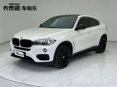 2019年03月 宝马 宝马X6  xDrive35i 领先型图片