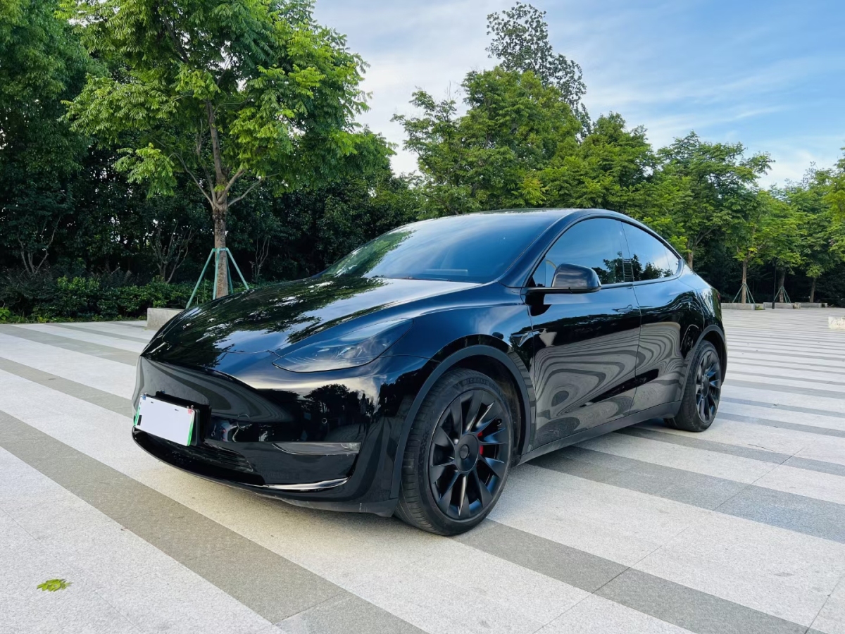 特斯拉 Model Y  2021款 改款 標(biāo)準(zhǔn)續(xù)航后驅(qū)升級(jí)版圖片