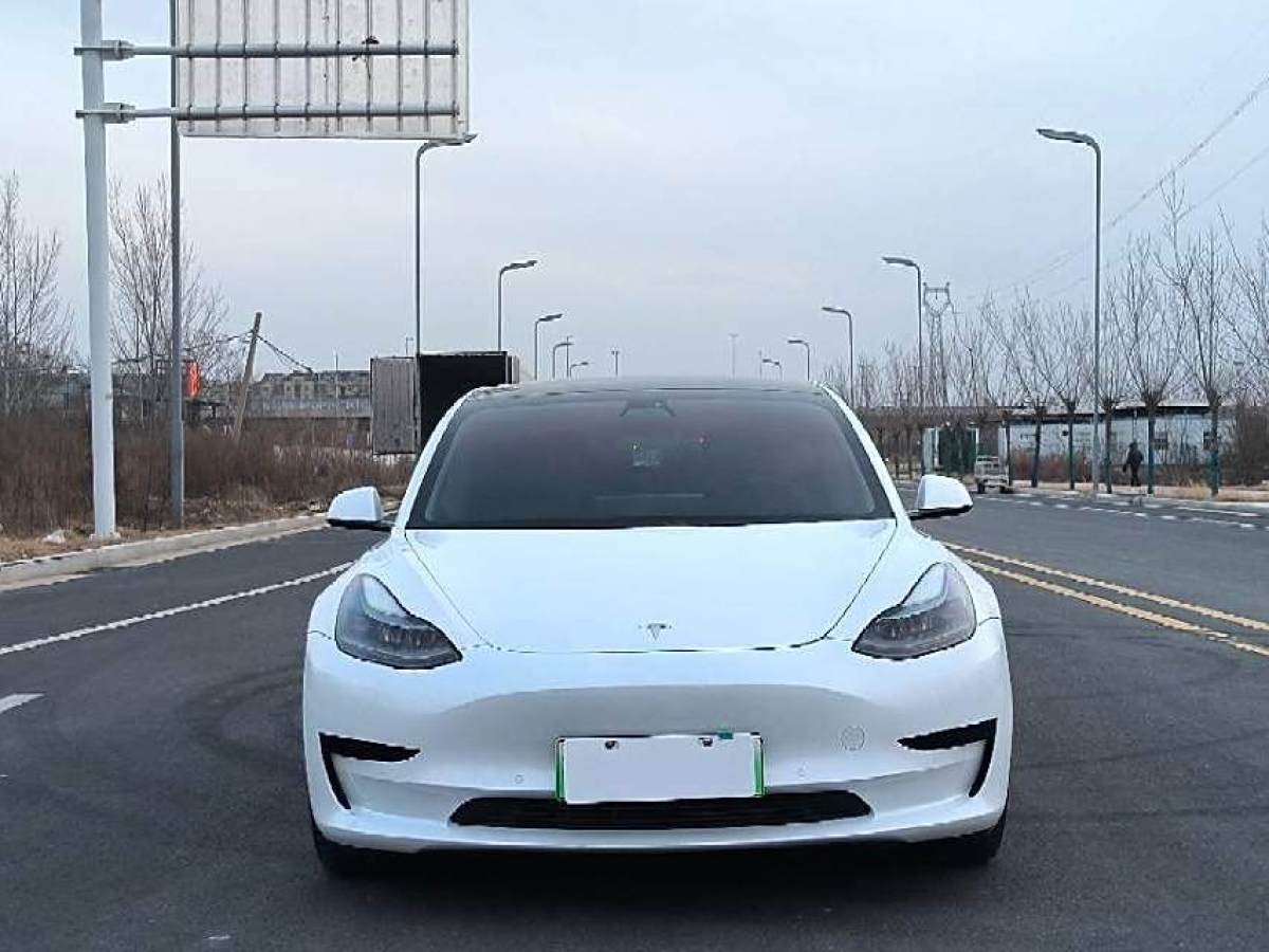 特斯拉 Model 3  2021款 改款 標(biāo)準(zhǔn)續(xù)航后驅(qū)升級(jí)版圖片