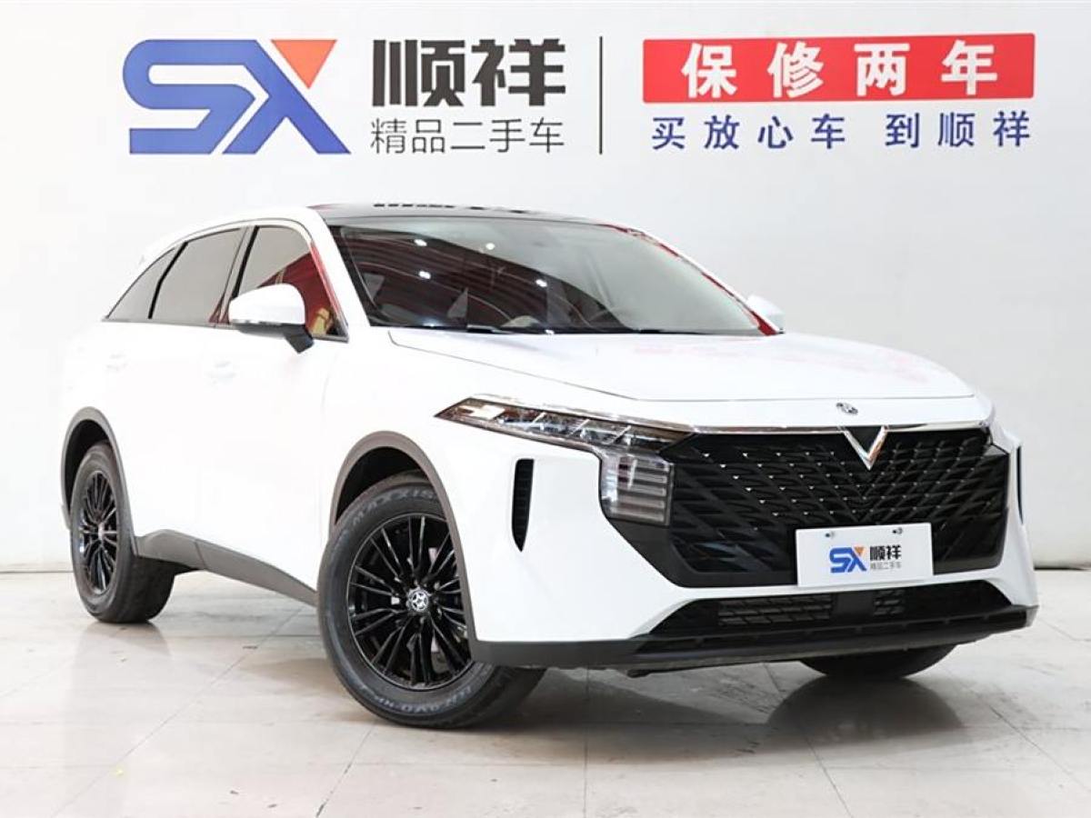 2022年2月啟辰 啟辰大V  2021款 260T 愛豆版