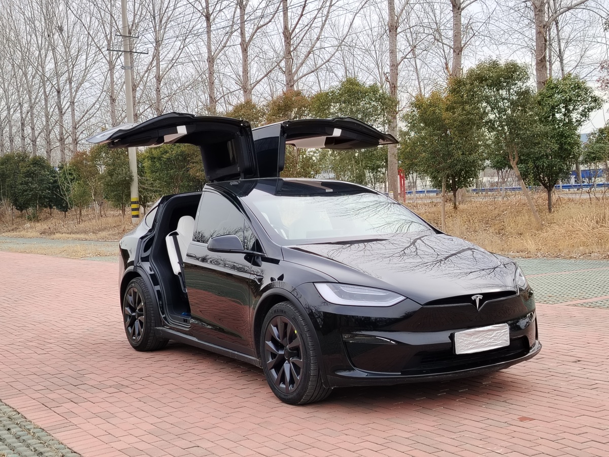 特斯拉 Model X  2023款 雙電機(jī)全輪驅(qū)動(dòng)版圖片