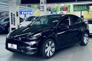 Model Y 特斯拉 长续航全轮驱动版