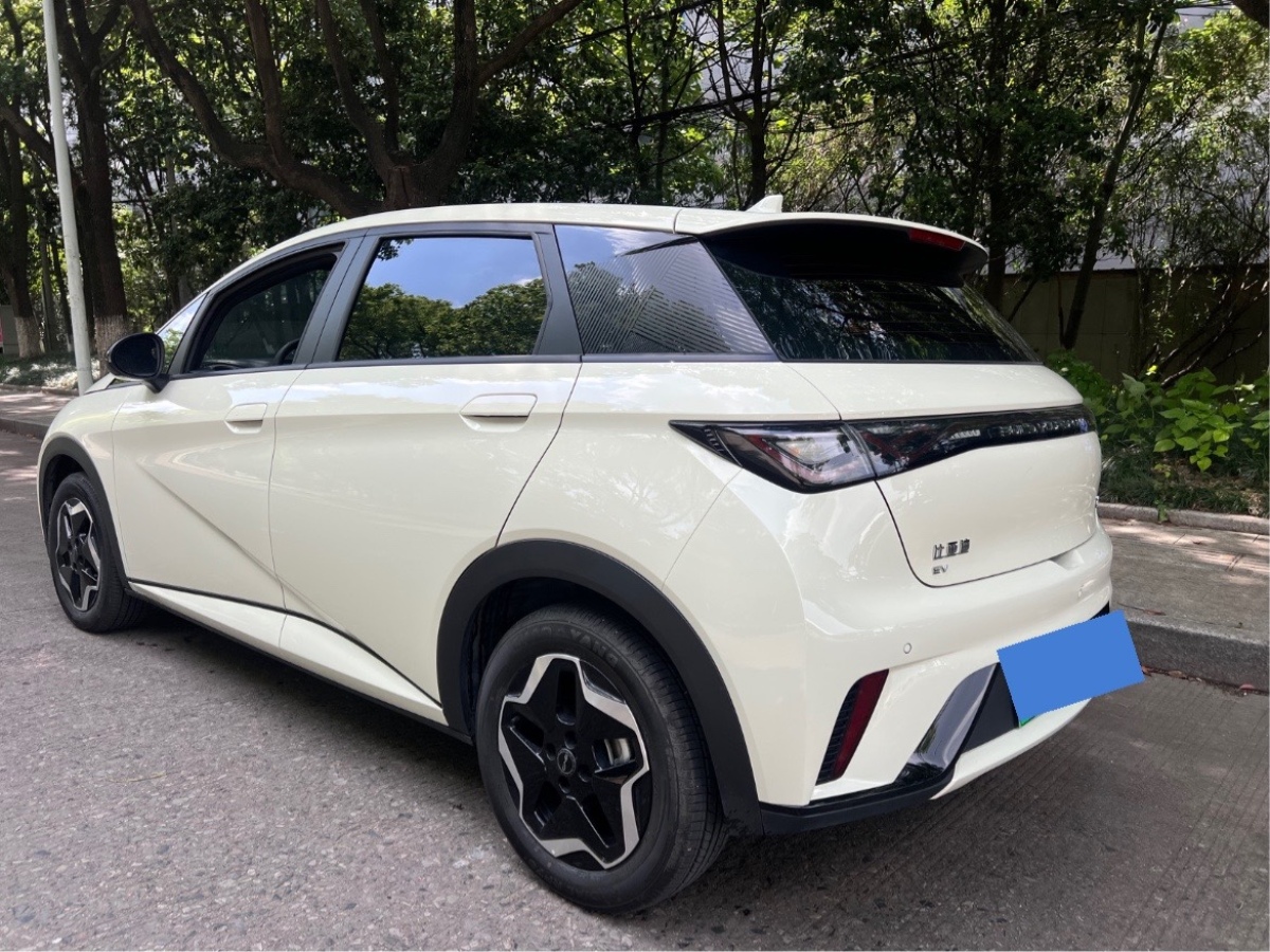 比亞迪 海豚  2024款 榮耀版 420km 自由版圖片