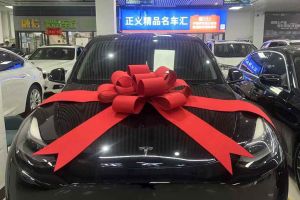 Model Y 特斯拉 Performance高性能全輪驅(qū)動版
