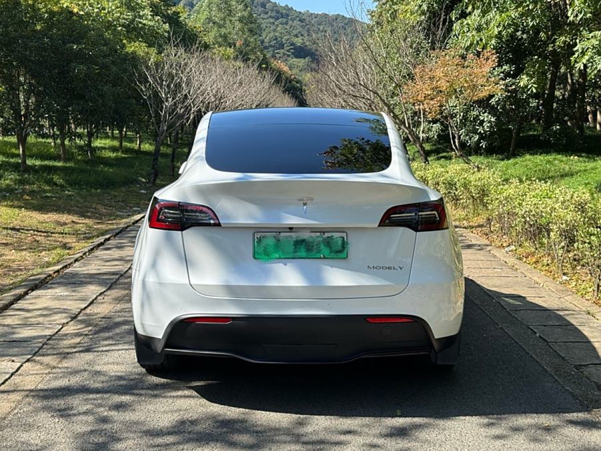 特斯拉 Model 3  2021款 改款 標準續(xù)航后驅(qū)升級版圖片