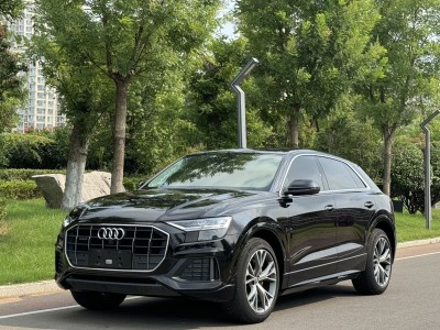 2020年8月 奥迪 奥迪Q8(进口) 45 TFSI 臻选动感型图片