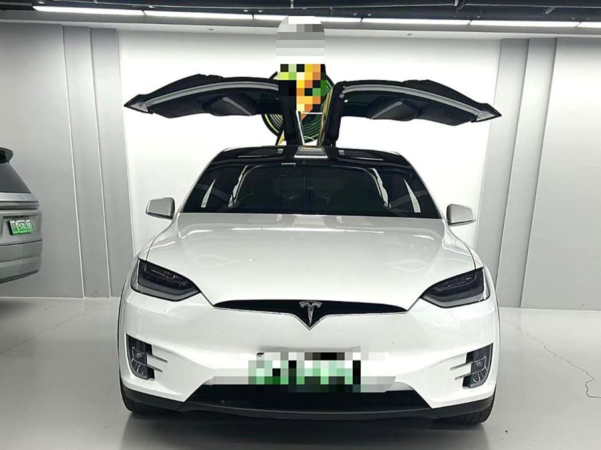 特斯拉 Model X  2019款 長(zhǎng)續(xù)航版圖片