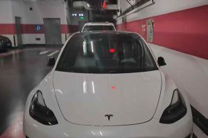 Model Y 特斯拉 Performance高性能全輪驅(qū)動(dòng)版