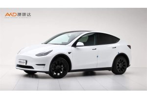 Model Y 特斯拉 長續(xù)航全輪驅(qū)動版