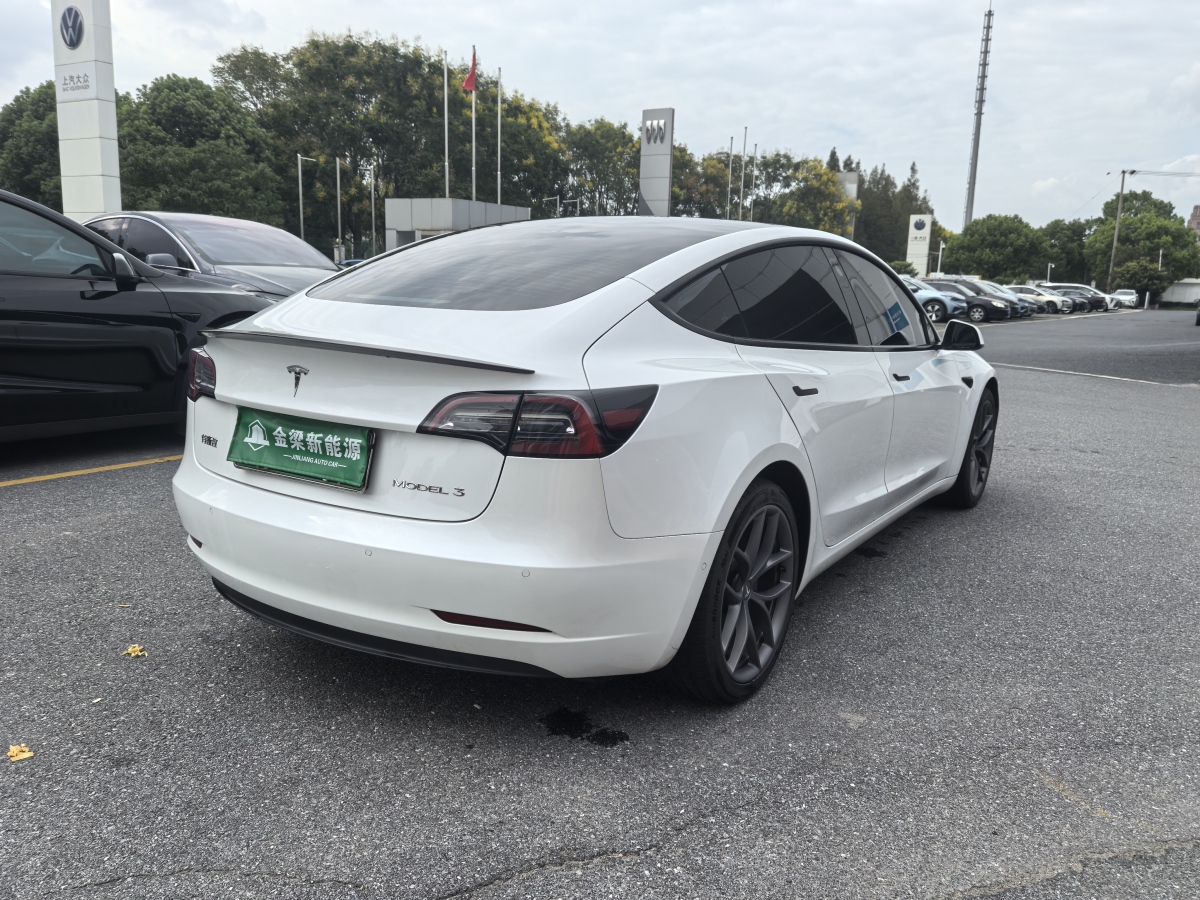 特斯拉 Model Y  2021款 Performance高性能全輪驅(qū)動版圖片