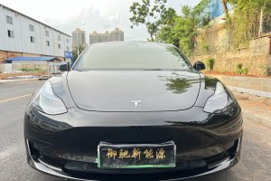 Model 3 特斯拉 標(biāo)準(zhǔn)續(xù)航后驅(qū)升級(jí)版 3D6