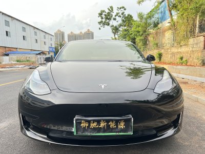 2021年6月 特斯拉 Model 3 標(biāo)準(zhǔn)續(xù)航后驅(qū)升級版 3D6圖片