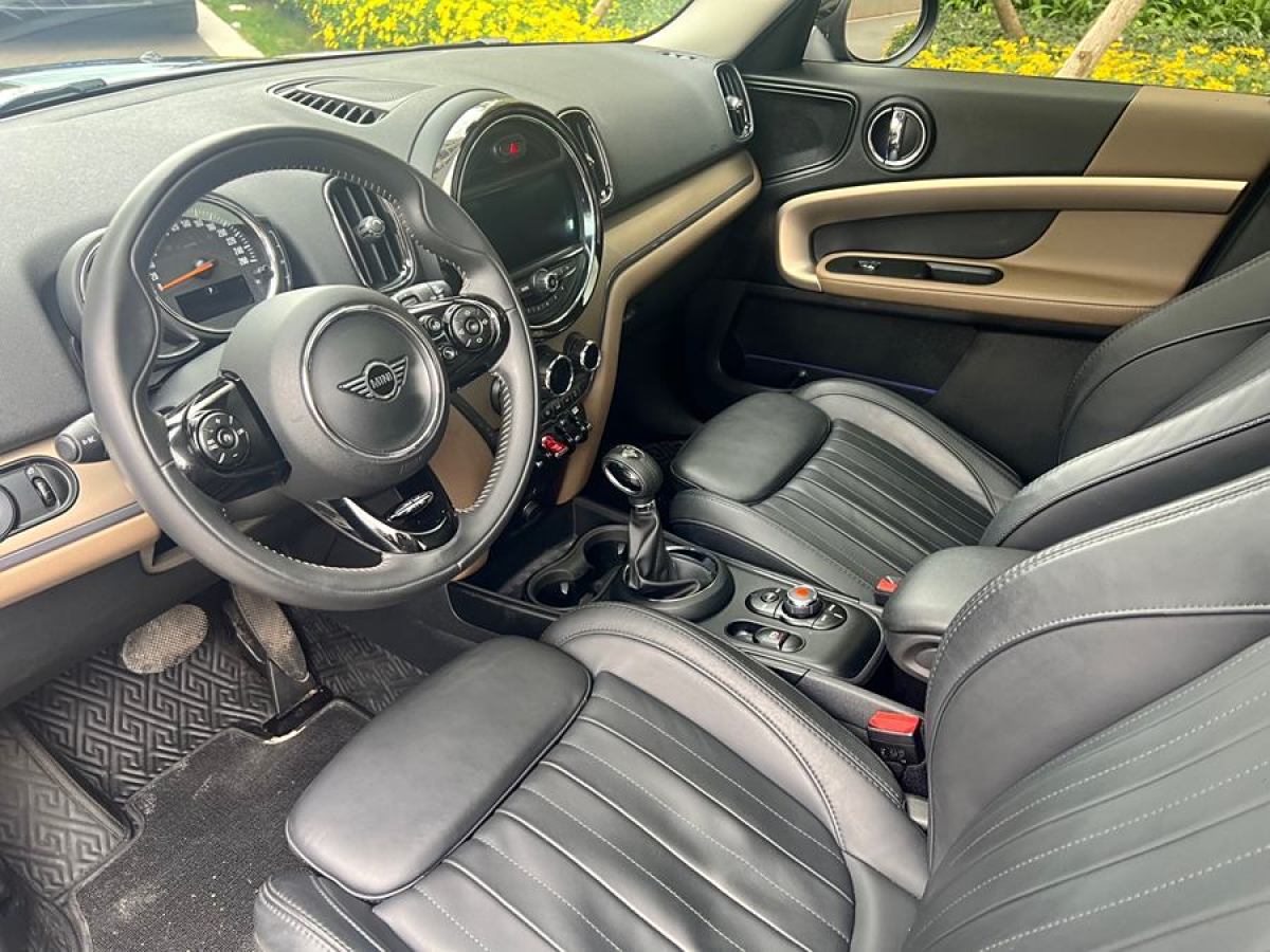 MINI COUNTRYMAN  2018款 2.0T COOPER S ALL4 藝術(shù)家圖片