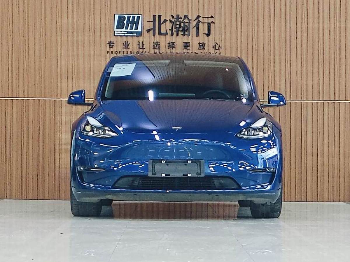 特斯拉 Model Y  2021款 改款 長(zhǎng)續(xù)航全輪驅(qū)動(dòng)版圖片