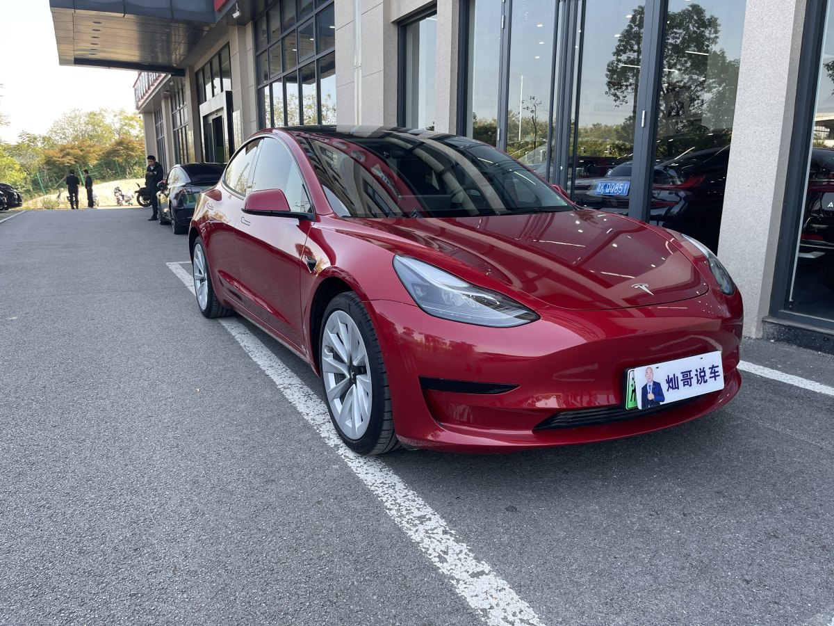 特斯拉 Model Y  2021款 標(biāo)準(zhǔn)續(xù)航后驅(qū)升級版 3D6圖片