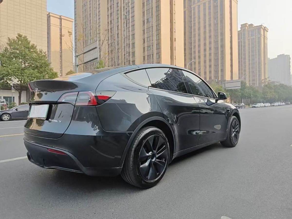 特斯拉 Model 3  2020款 改款 長續(xù)航后輪驅(qū)動版圖片