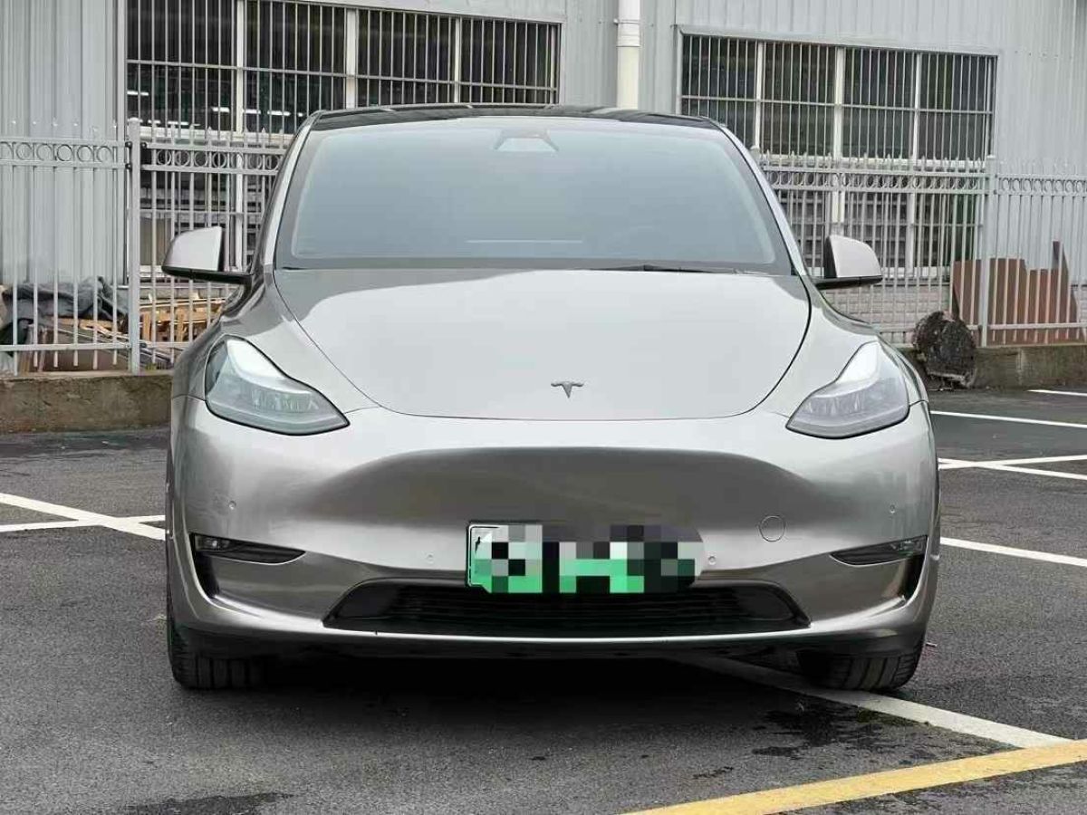 2022年1月特斯拉 Model 3  2022款 Performance高性能全輪驅動版