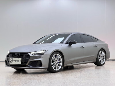 2019年6月 奧迪 奧迪A7(進(jìn)口) 55 TFSI quattro 動(dòng)感型圖片