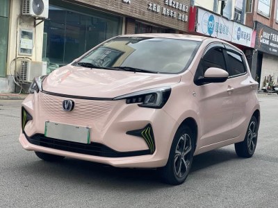 2022年12月 長安 奔奔E-Star 國民版 心悅版 磷酸鐵鋰（31.95kWh）圖片
