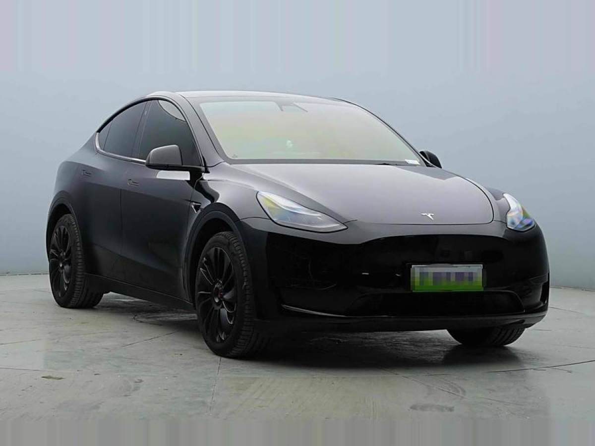 特斯拉 Model 3  2020款 改款 長(zhǎng)續(xù)航后輪驅(qū)動(dòng)版圖片