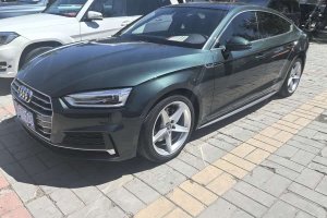 奧迪A5 奧迪 Sportback 40 TFSI 時(shí)尚型