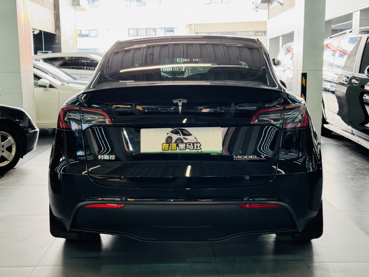 特斯拉 Model Y  2022款 Performance高性能全輪驅(qū)動(dòng)版圖片