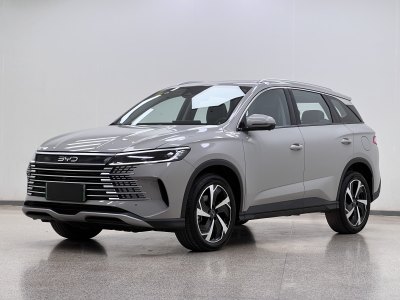 2024年11月 比亞迪 海獅05 DM-i DM-i 115KM尊榮型圖片