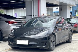 Model 3 特斯拉 標(biāo)準(zhǔn)續(xù)航后驅(qū)升級(jí)版 3D6