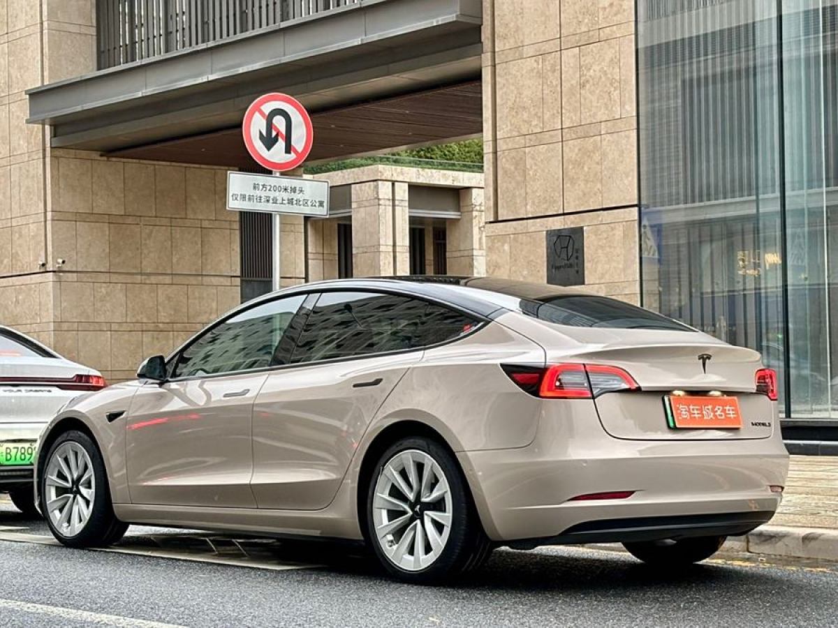 特斯拉 Model 3  2021款 改款 標(biāo)準(zhǔn)續(xù)航后驅(qū)升級(jí)版圖片