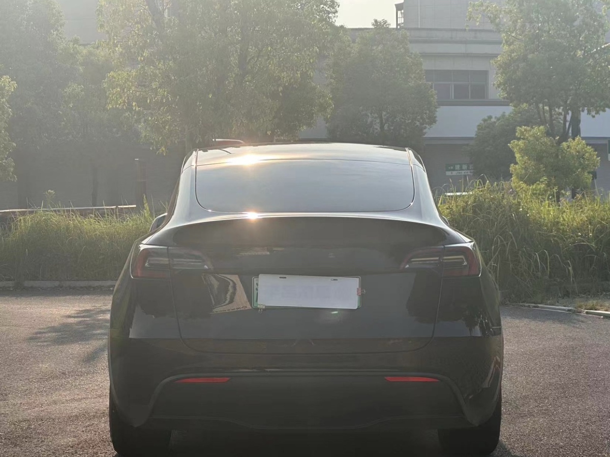 特斯拉 Model 3  2021款 標(biāo)準(zhǔn)續(xù)航后驅(qū)升級(jí)版 3D6圖片