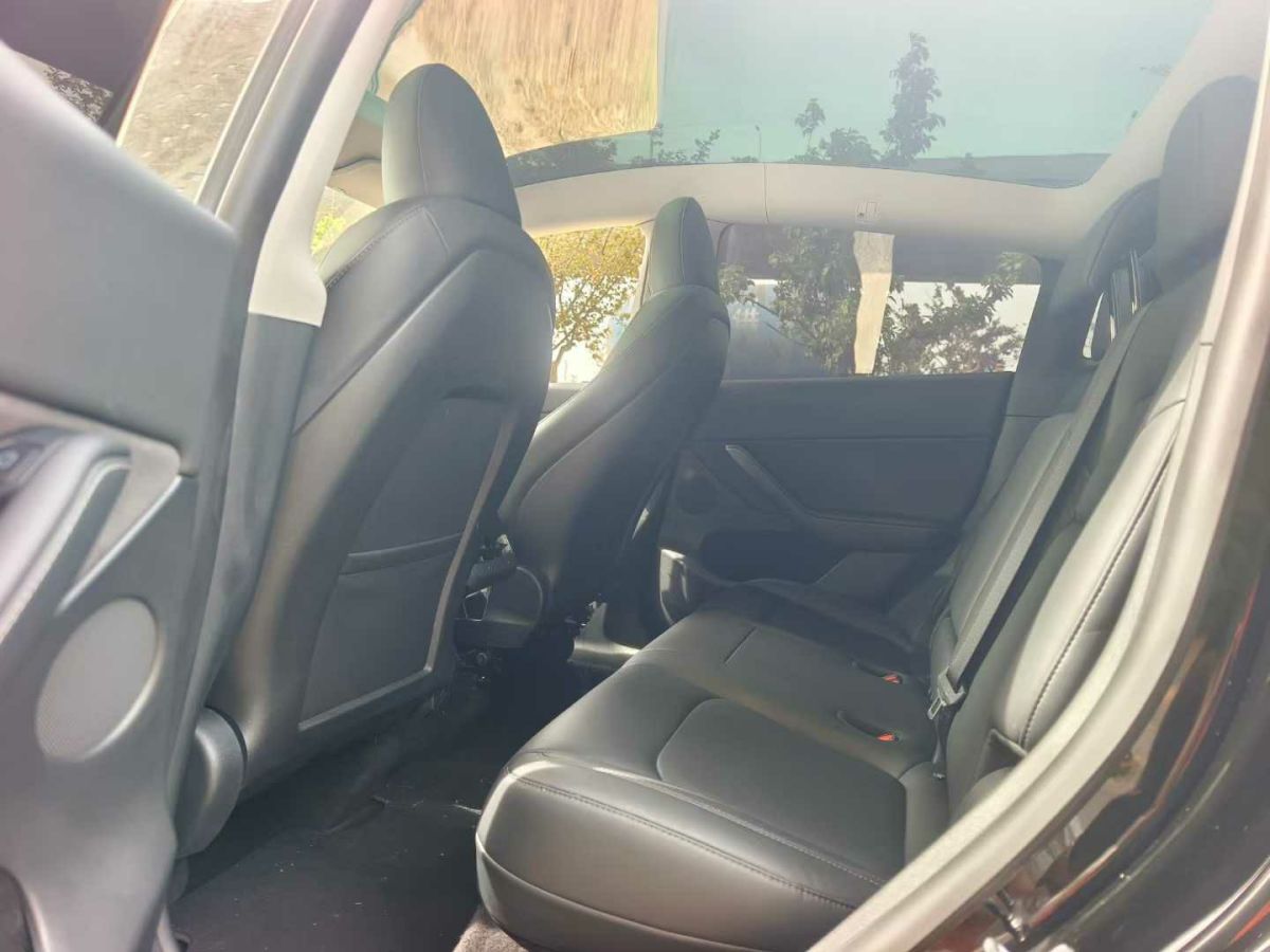 特斯拉 Model Y  2022款 Performance高性能全輪驅(qū)動版圖片