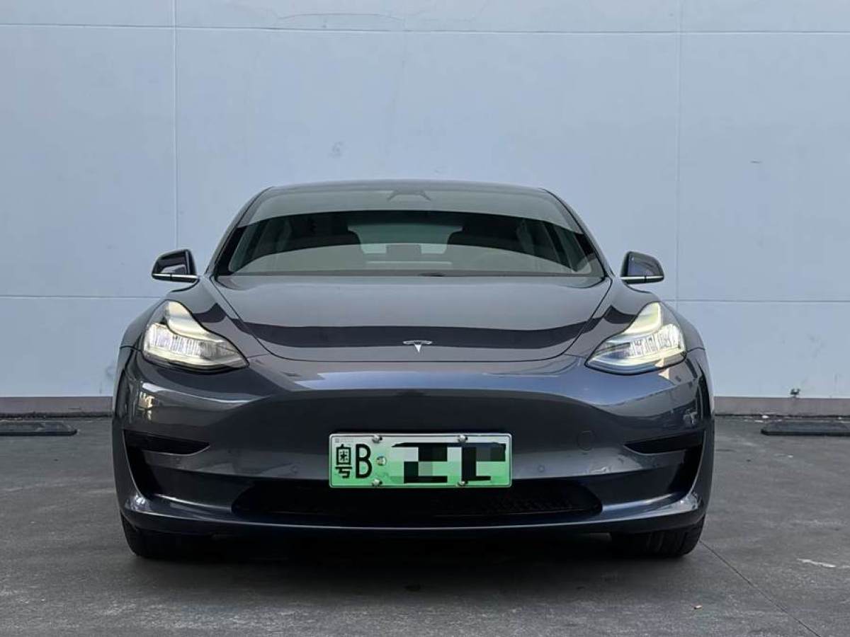 特斯拉 Model 3  2020款 改款 標(biāo)準(zhǔn)續(xù)航后驅(qū)升級版圖片