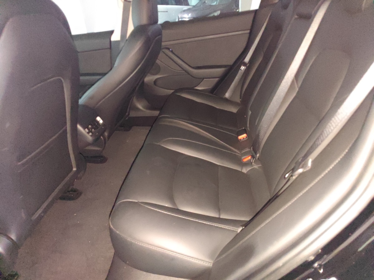 特斯拉 Model 3  2021款 改款 標(biāo)準(zhǔn)續(xù)航后驅(qū)升級(jí)版圖片