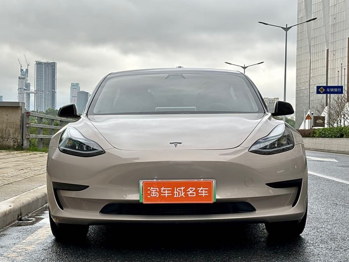 特斯拉 Model 3  2021款 改款 標(biāo)準(zhǔn)續(xù)航后驅(qū)升級(jí)版圖片