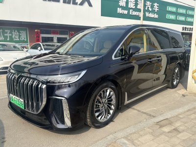 2023年10月 嵐圖 夢(mèng)想家 PHEV 超長(zhǎng)續(xù)航旗艦版圖片