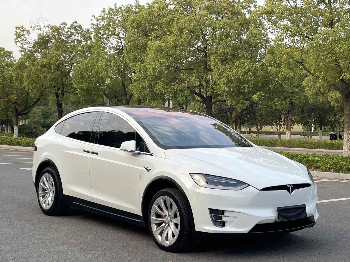 特斯拉 Model X  2017款 Model X 100D 長(zhǎng)續(xù)航版圖片