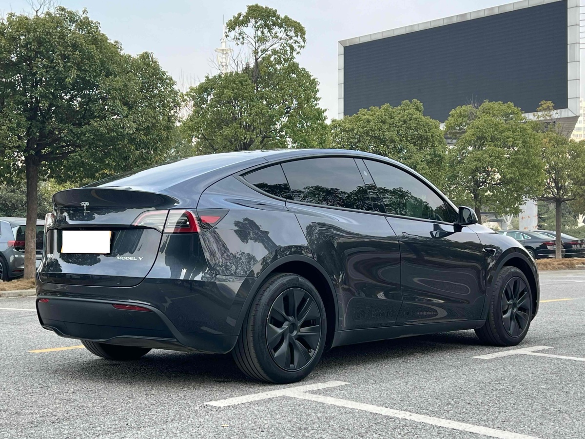 特斯拉 Model 3  2020款 改款 長續(xù)航后輪驅(qū)動版圖片