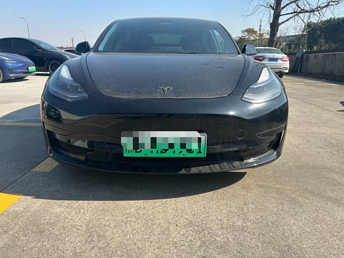 特斯拉 Model 3  2021款 改款 標準續(xù)航后驅升級版圖片