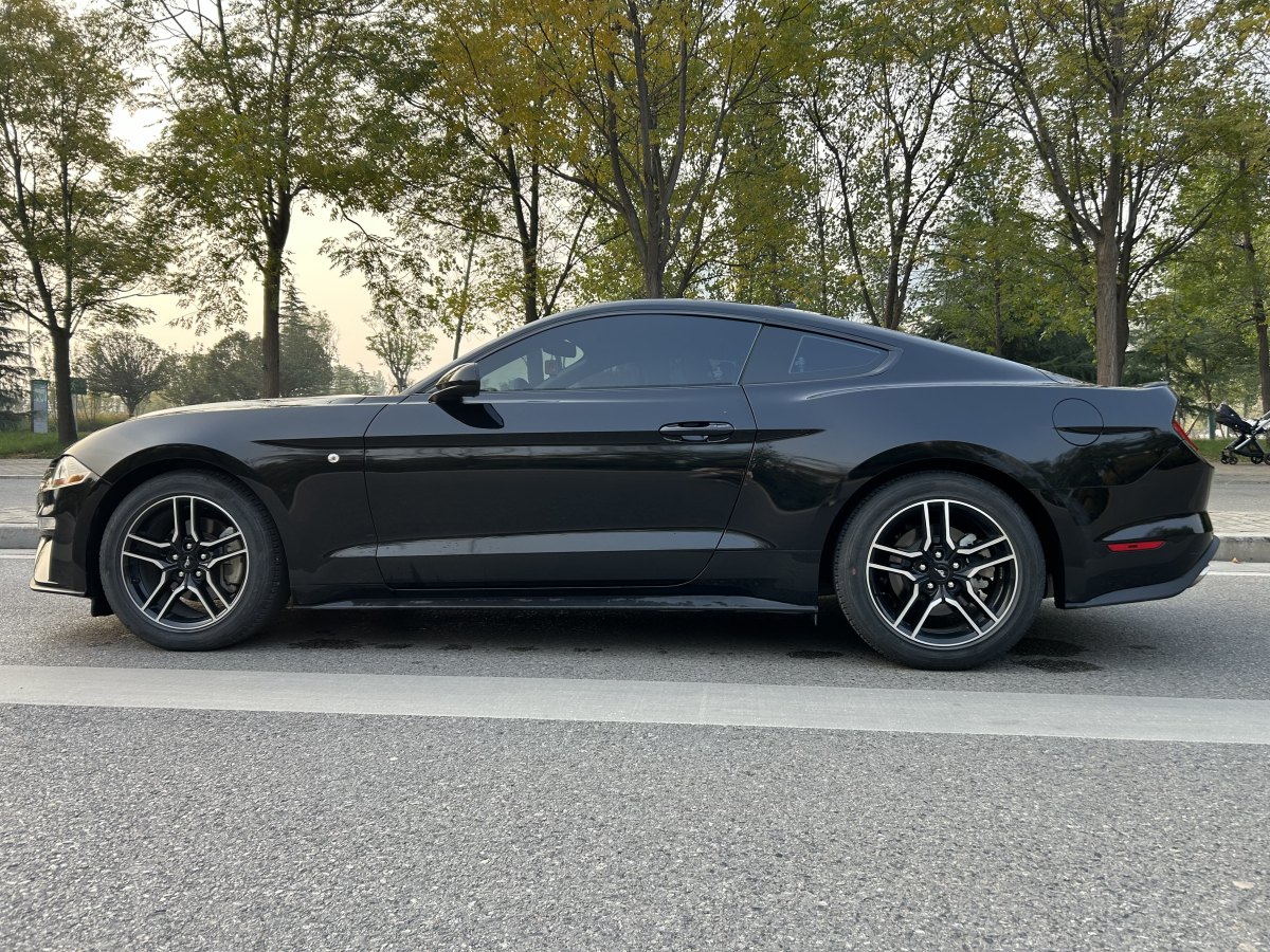 福特 Mustang  2021款 2.3L EcoBoost圖片