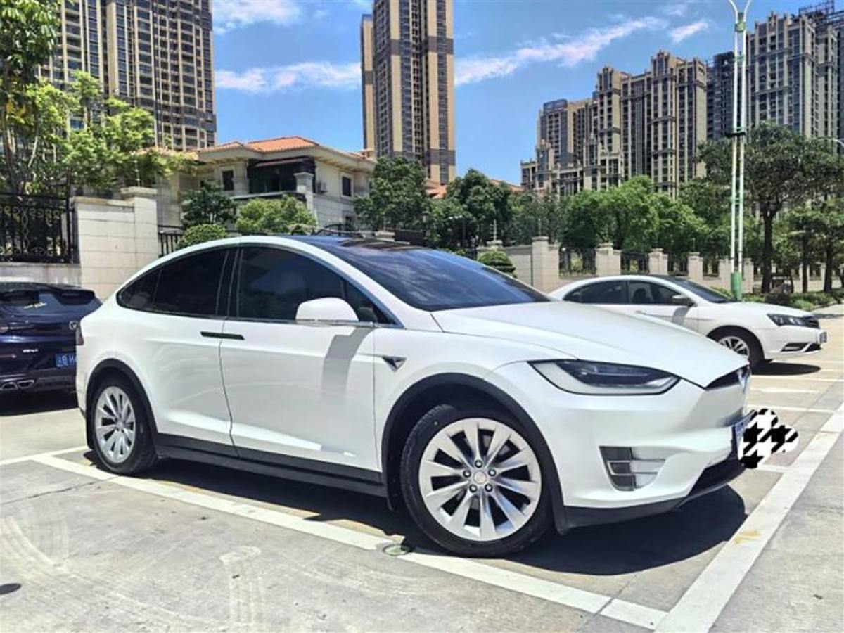 特斯拉 Model X  2019款 長(zhǎng)續(xù)航版圖片