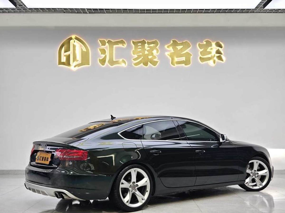 奧迪 奧迪A5  2010款 2.0TFSI Sportback 技術(shù)型圖片