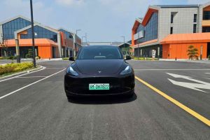 Model Y 特斯拉 Performance高性能版